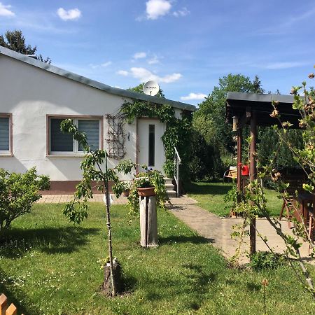 Ferienhaus an der Selke Meisdorf Exterior foto