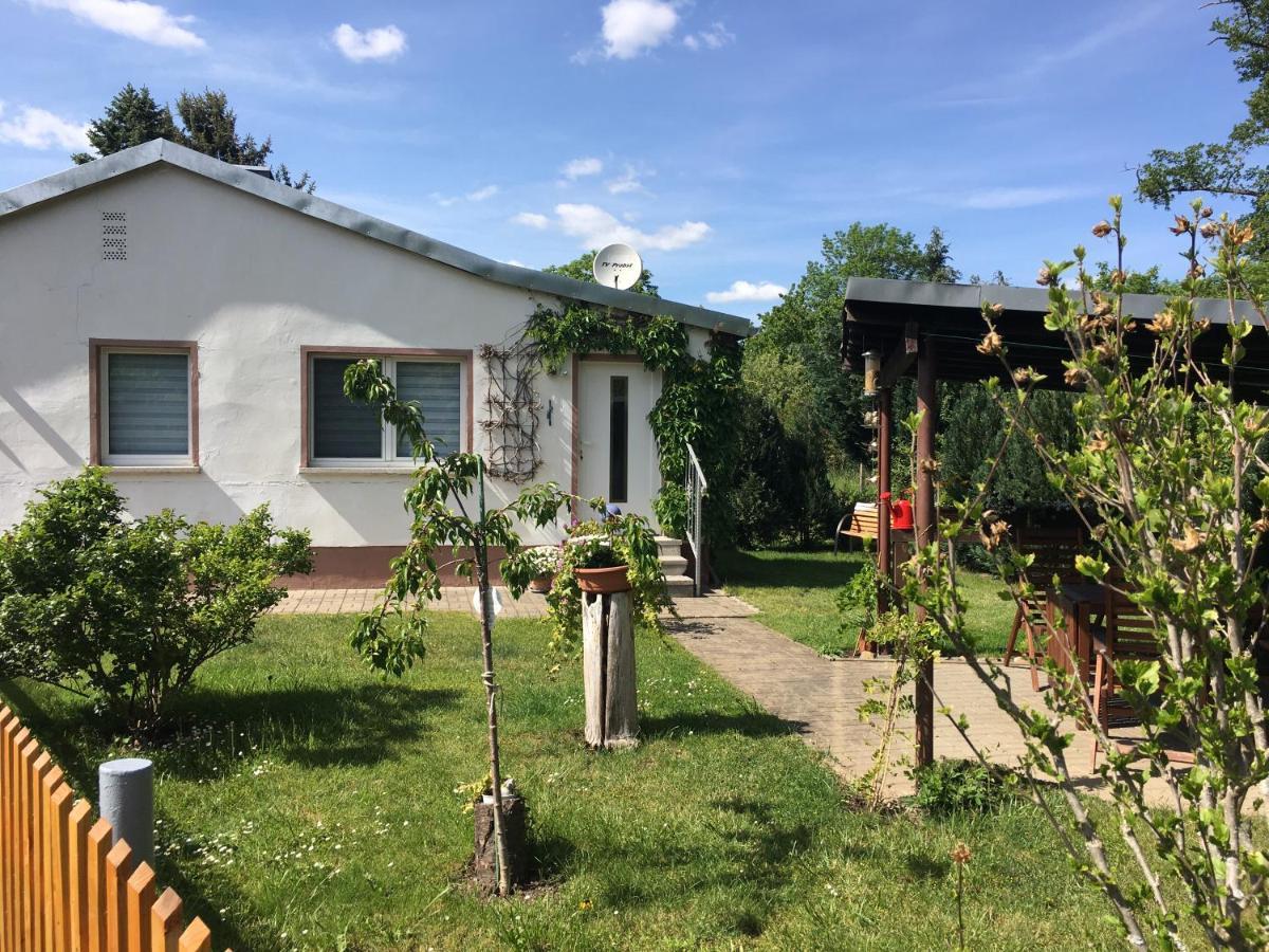 Ferienhaus an der Selke Meisdorf Exterior foto